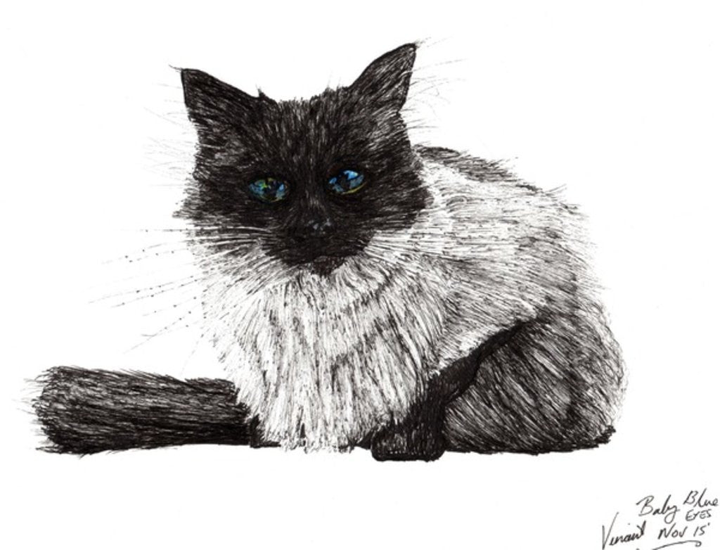 Detail of Baby blue eyes by Vincent Alexander Booth