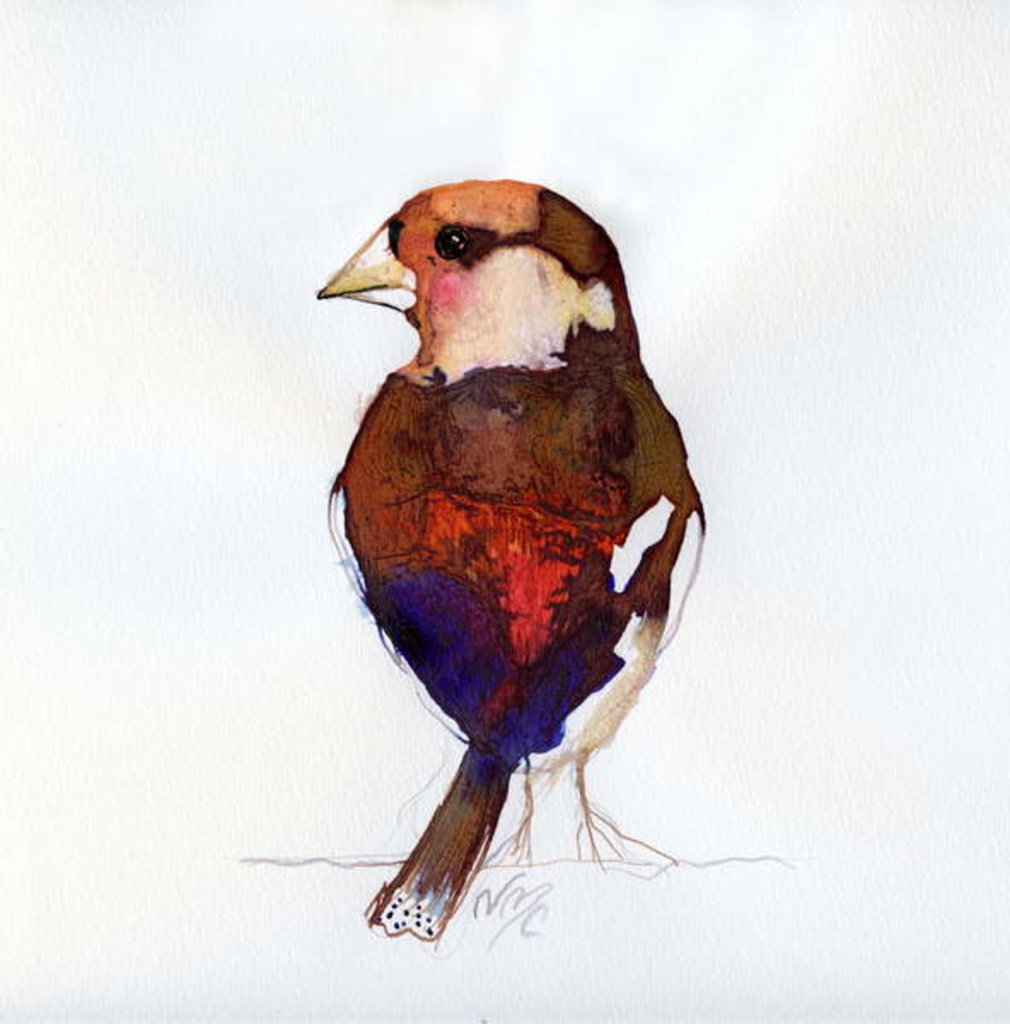 Detail of Blushing Hawfinch, 2017 by Nancy Moniz Charalambous