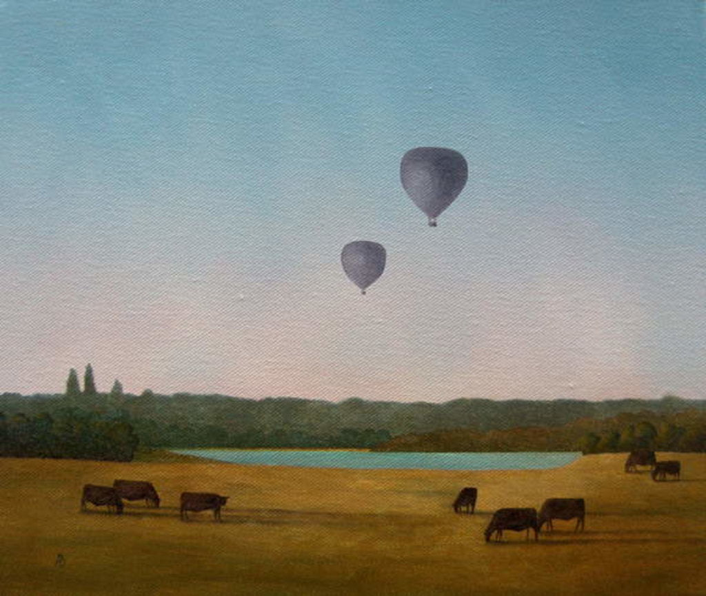 Detail of Northamptonshire Balloons, 2005 by Ann Brain