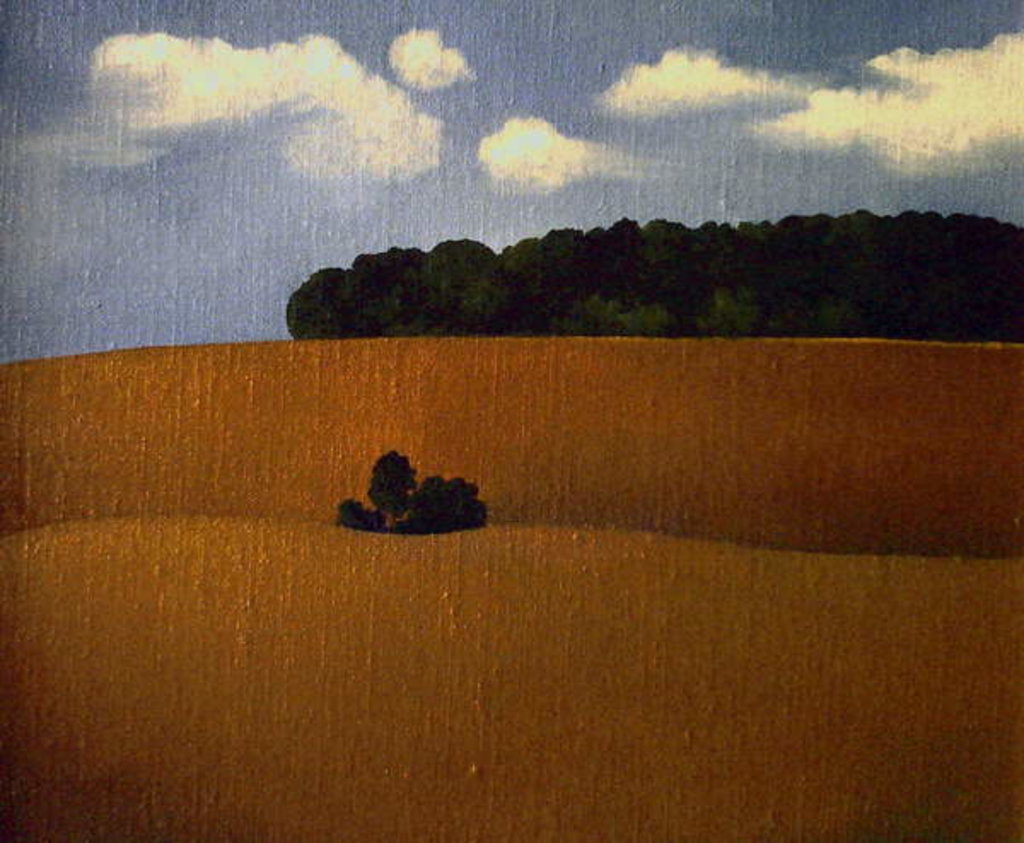 Detail of Ploughed Field, 1990 by Ann Brain