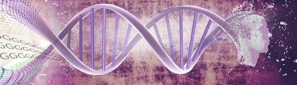 Detail of ATCG by Francois Domain