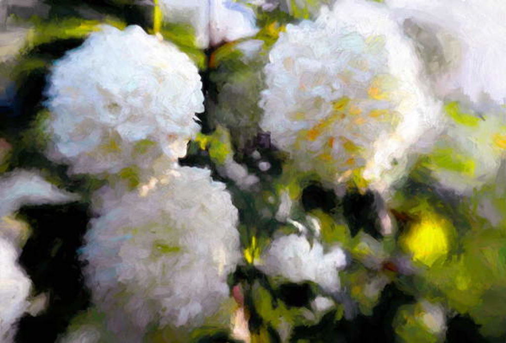 Detail of Big Blowsy Blooms, 2018 by Helen White
