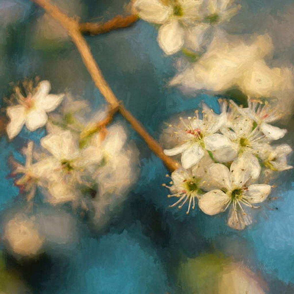 Detail of Apple Blossom, 2019 by Helen White