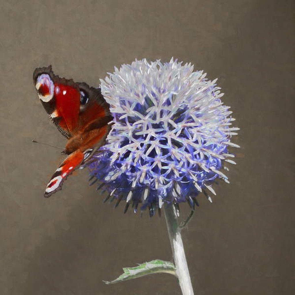 Detail of Peacock on Blue Thistle, 2018 by Helen White