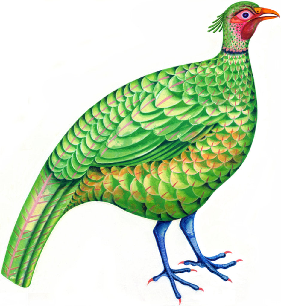 Detail of Pheasant, 1996 by Jane Tattersfield