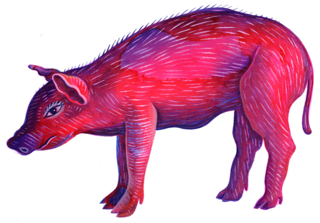 Detail of Pig, 1996 by Jane Tattersfield