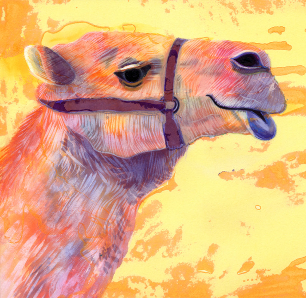 Detail of Camel, 1994 by Jane Tattersfield