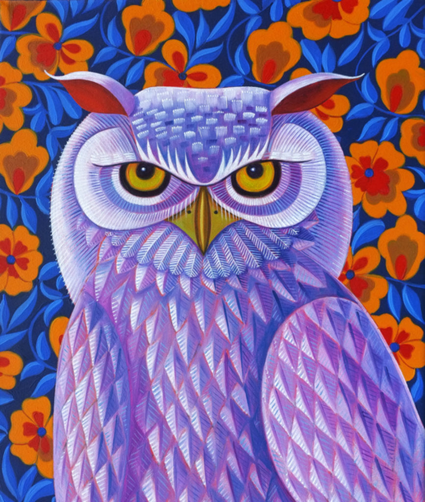 Detail of Snowy Owl, 2013 by Jane Tattersfield