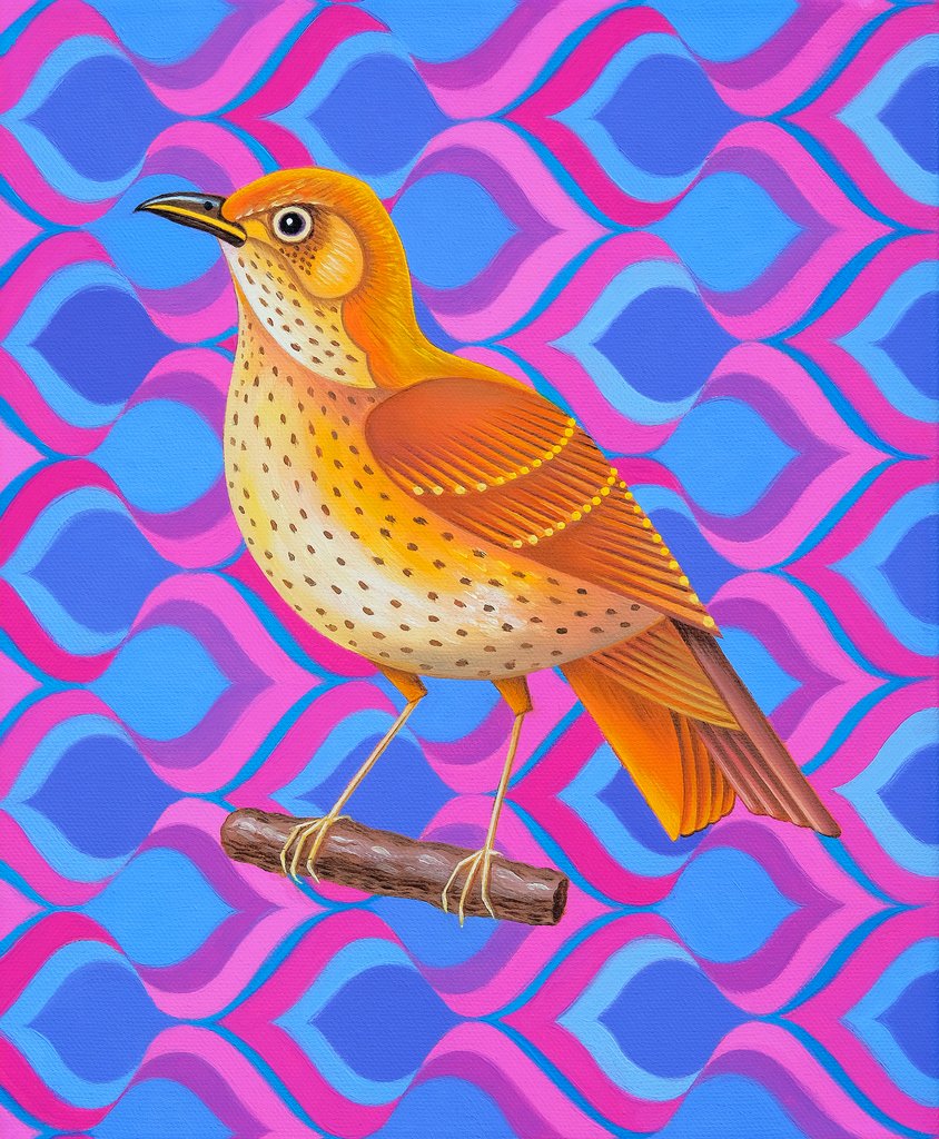 Detail of Song thrush, 2023 by Jane Tattersfield