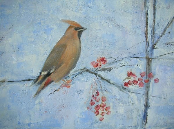 Detail of Waxwing by Ruth Addinall
