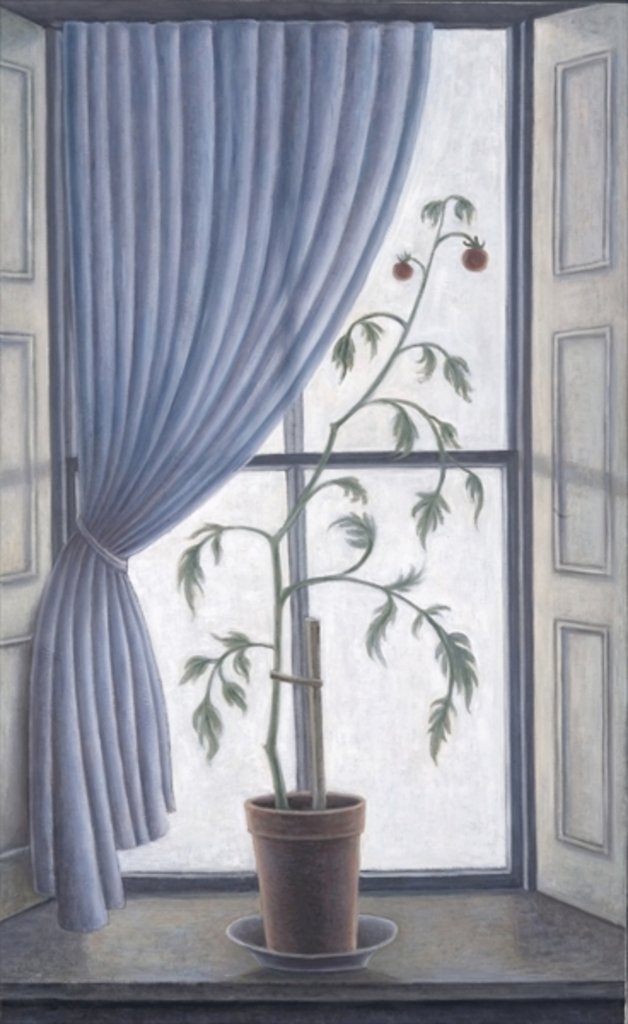 Detail of Plant in Window, 2003 by Ruth Addinall