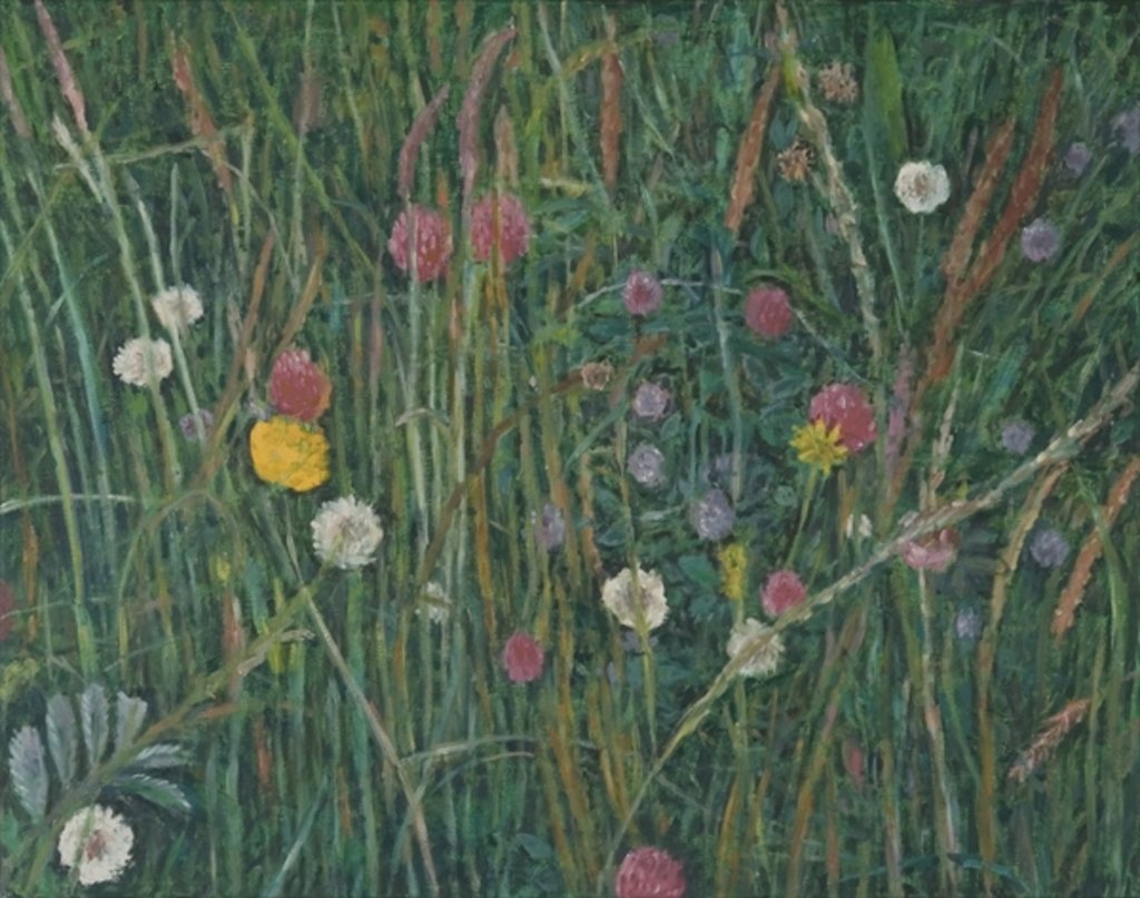 Detail of Plants of the Machair, 2008 by Ruth Addinall