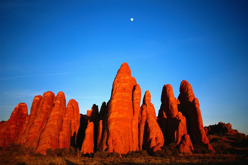 Detail of Devils Garden in Arches National Park by Anonymous