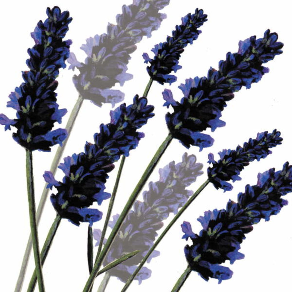 Detail of Sweet Lavender, 2004 by Sarah Hough