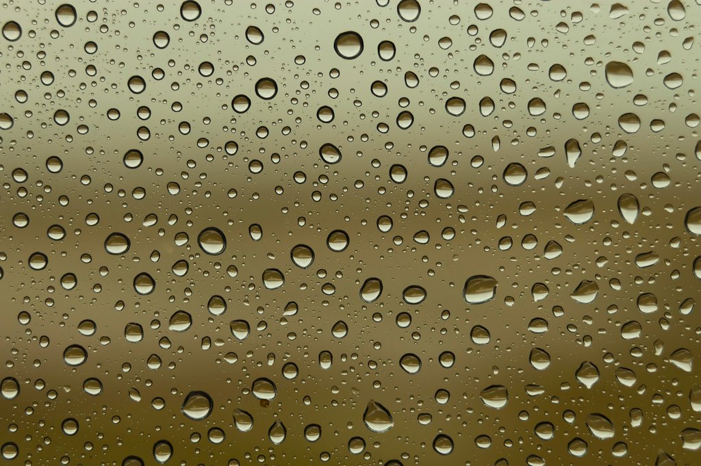 Detail of Water droplets on glass by Assaf Frank