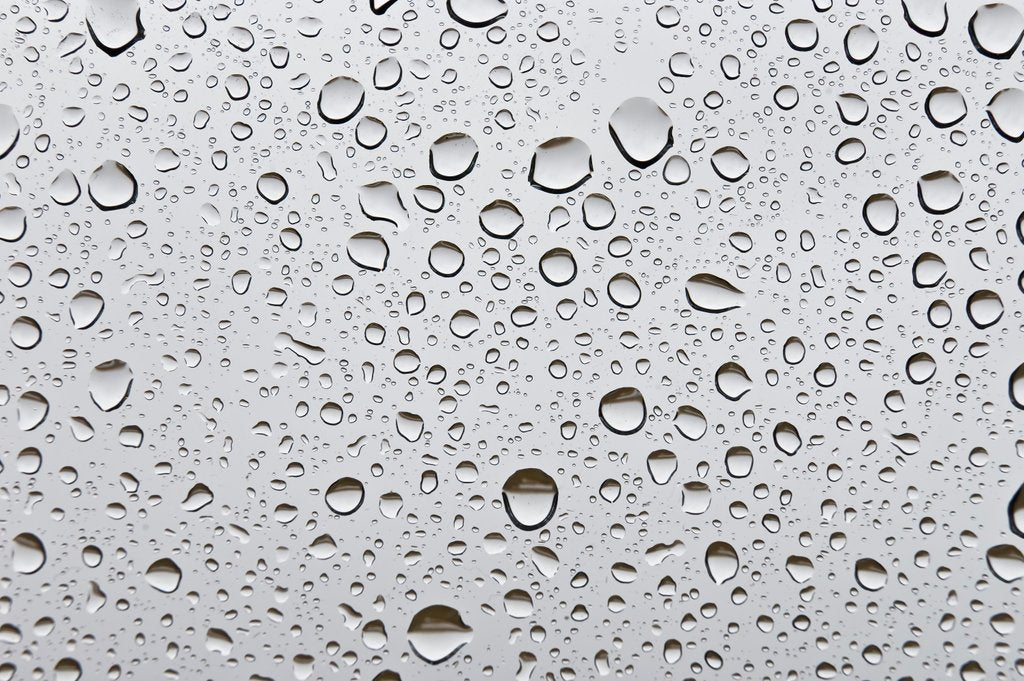 Detail of Water droplets on glass by Assaf Frank