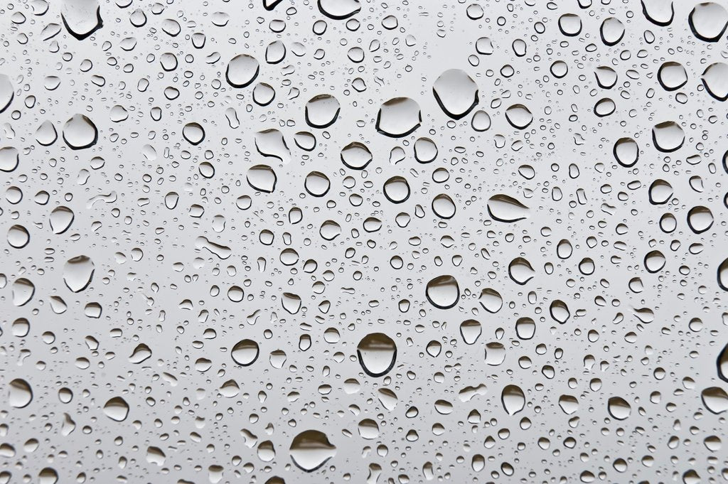Detail of Water droplets on glass by Assaf Frank