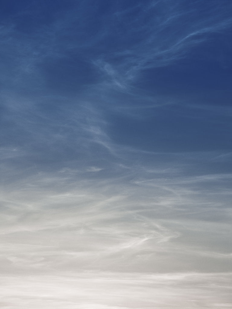 Detail of Close-up of sky at dusk by Assaf Frank