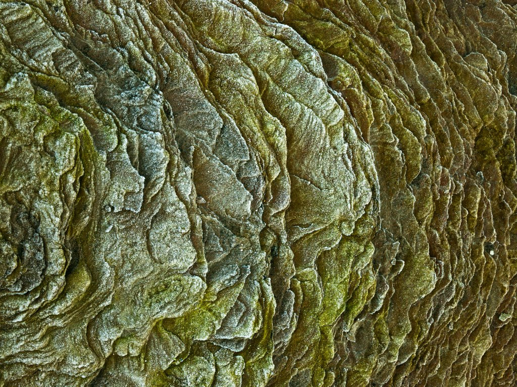 Detail of Frosty rock surface by Assaf Frank