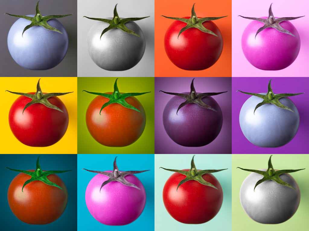 Detail of Multi coloured tomatos by Assaf Frank