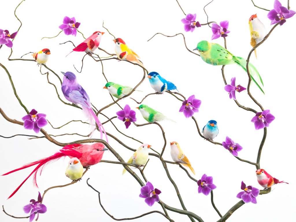Detail of Fake birds on branches by Assaf Frank