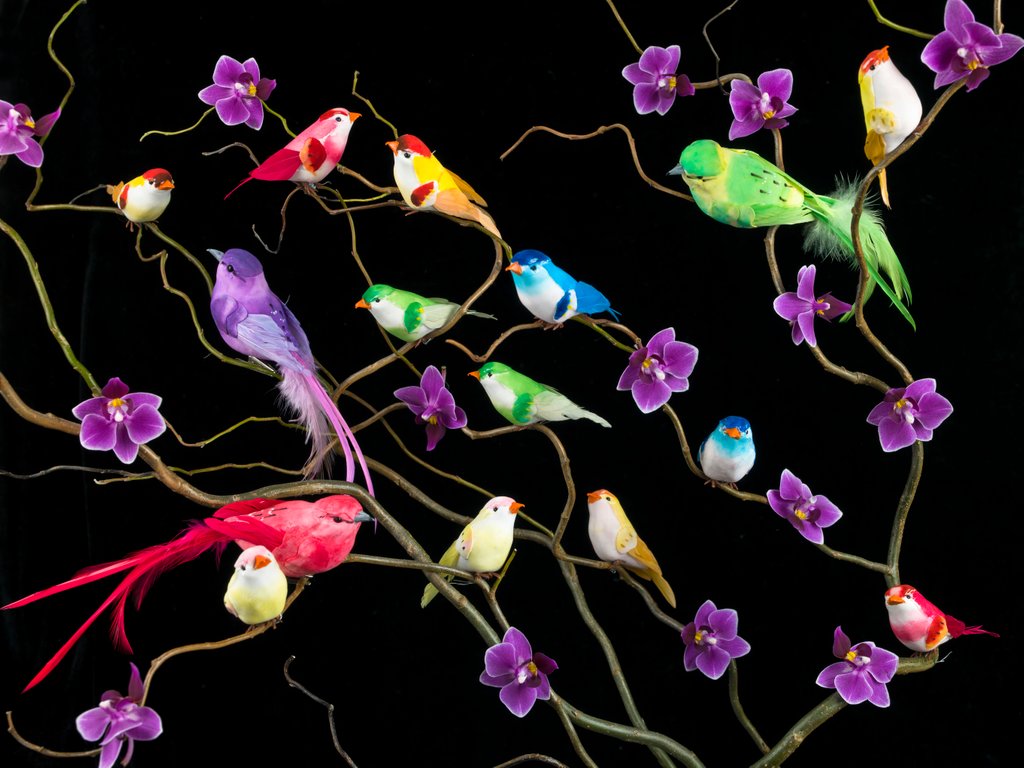 Detail of Fake birds on branches by Assaf Frank