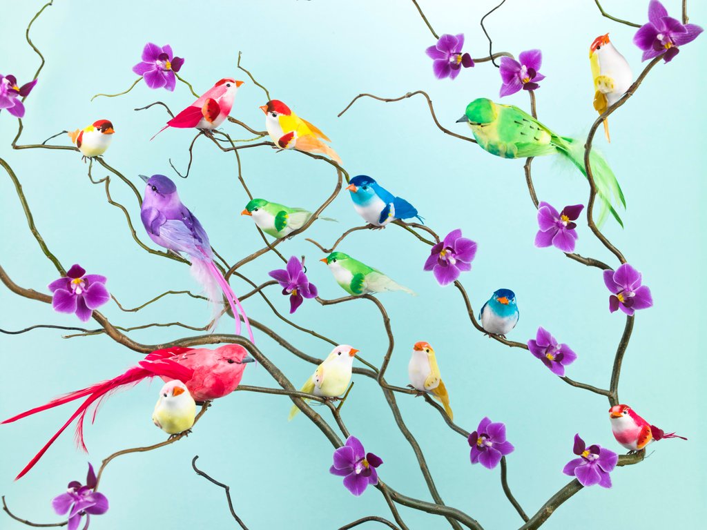 Detail of Fake birds on branches by Assaf Frank