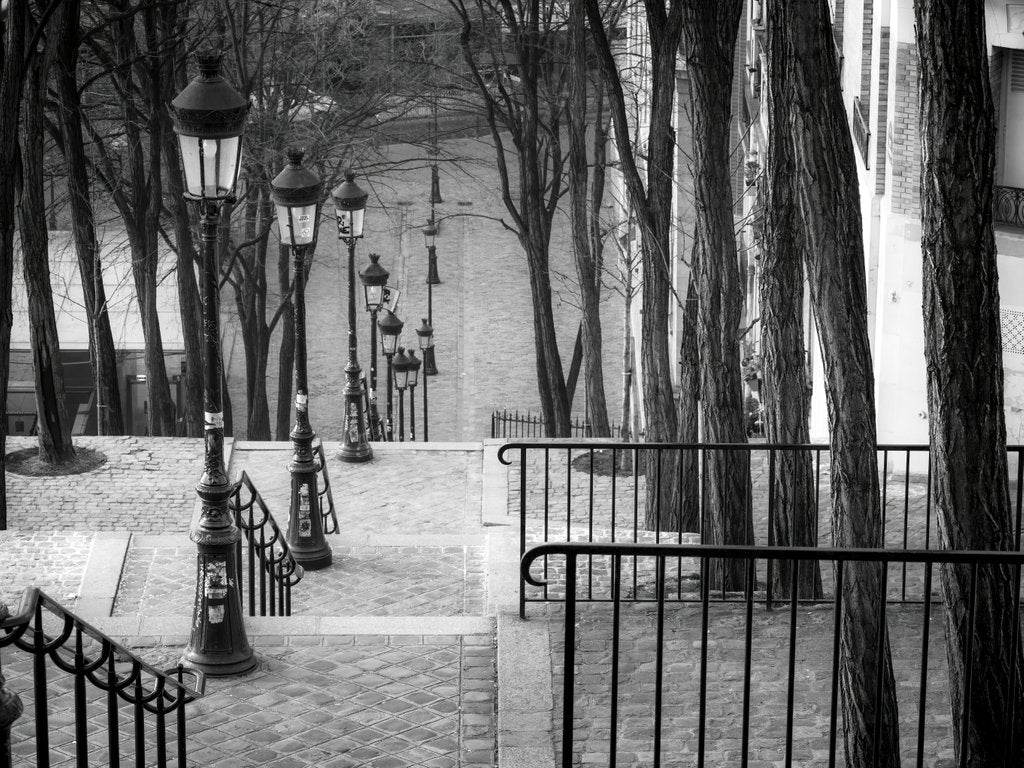 Detail of Staircase in Montmartre, Paris by Assaf Frank