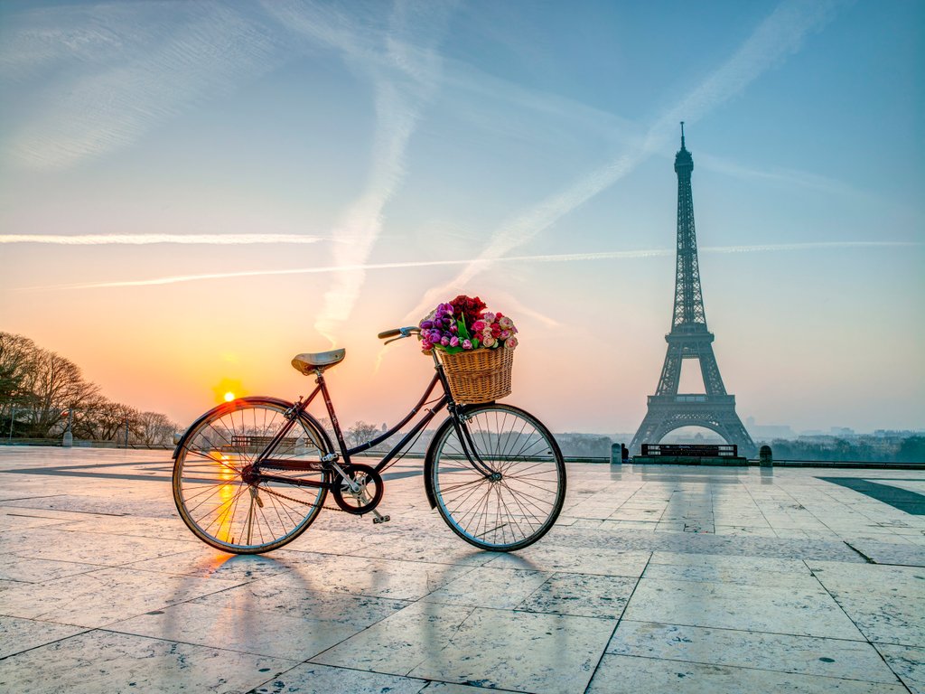 Detail of Bicycle and Eiffel tower by Assaf Frank