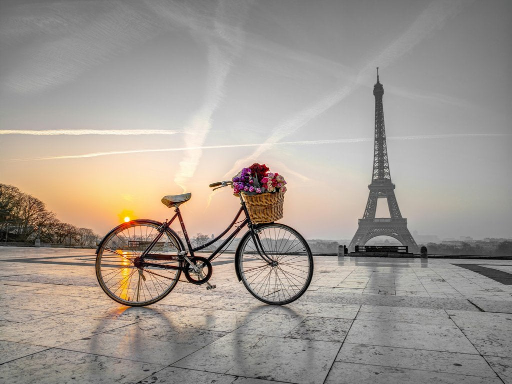 Detail of Bicycle and Eiffel tower by Assaf Frank