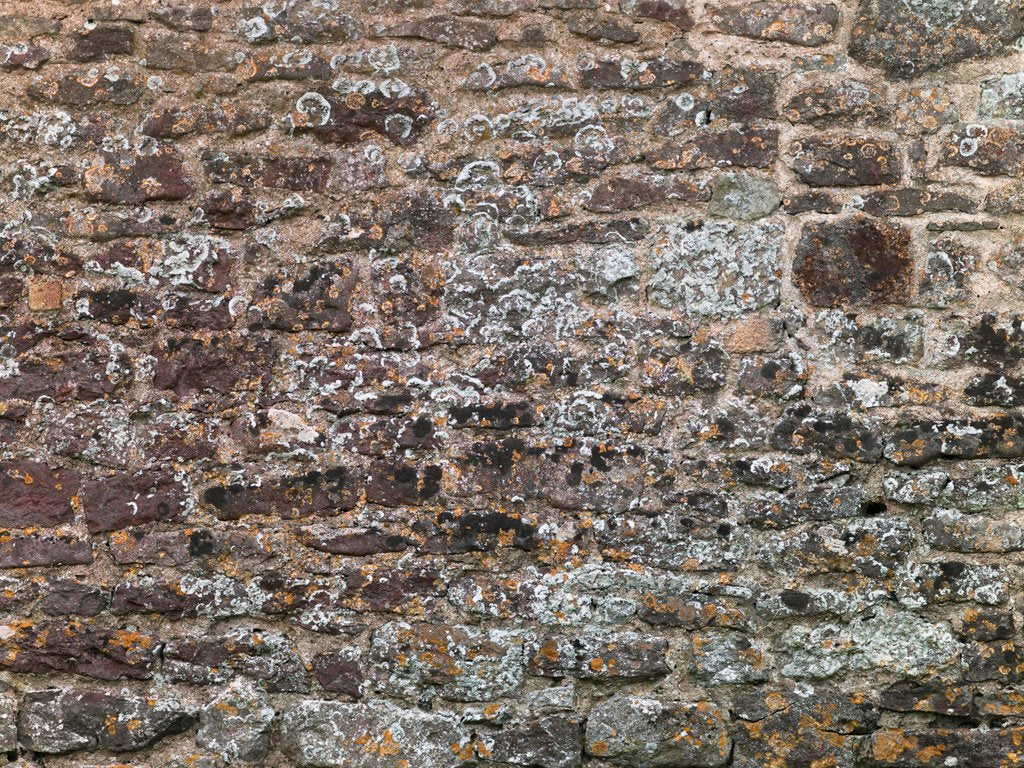 Detail of Old brick wall by Assaf Frank