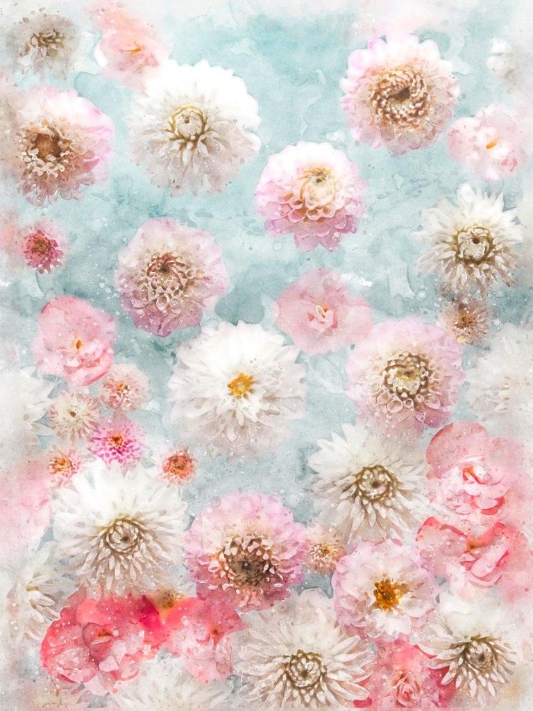 Detail of Dahlia Flowers by Assaf Frank