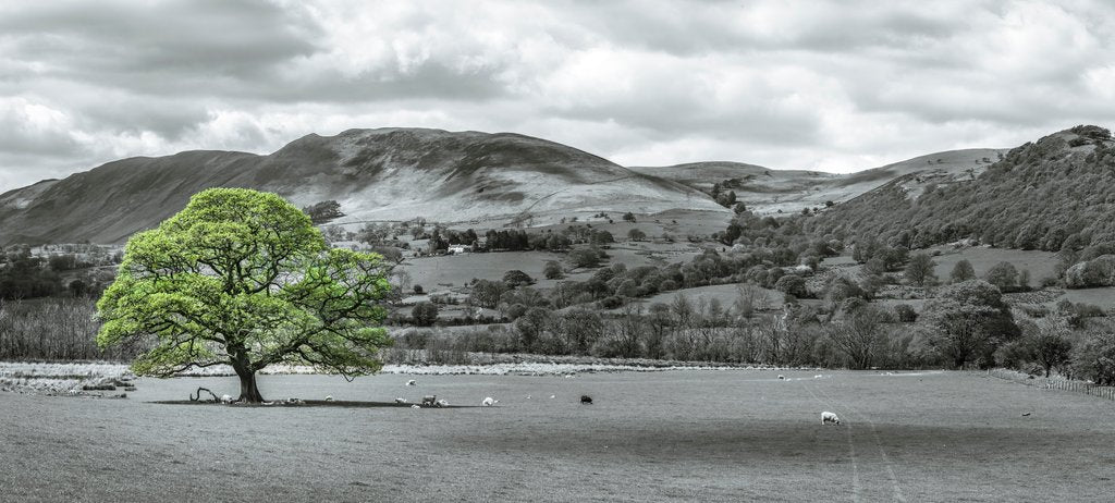Detail of Beautiful countryside by Assaf Frank