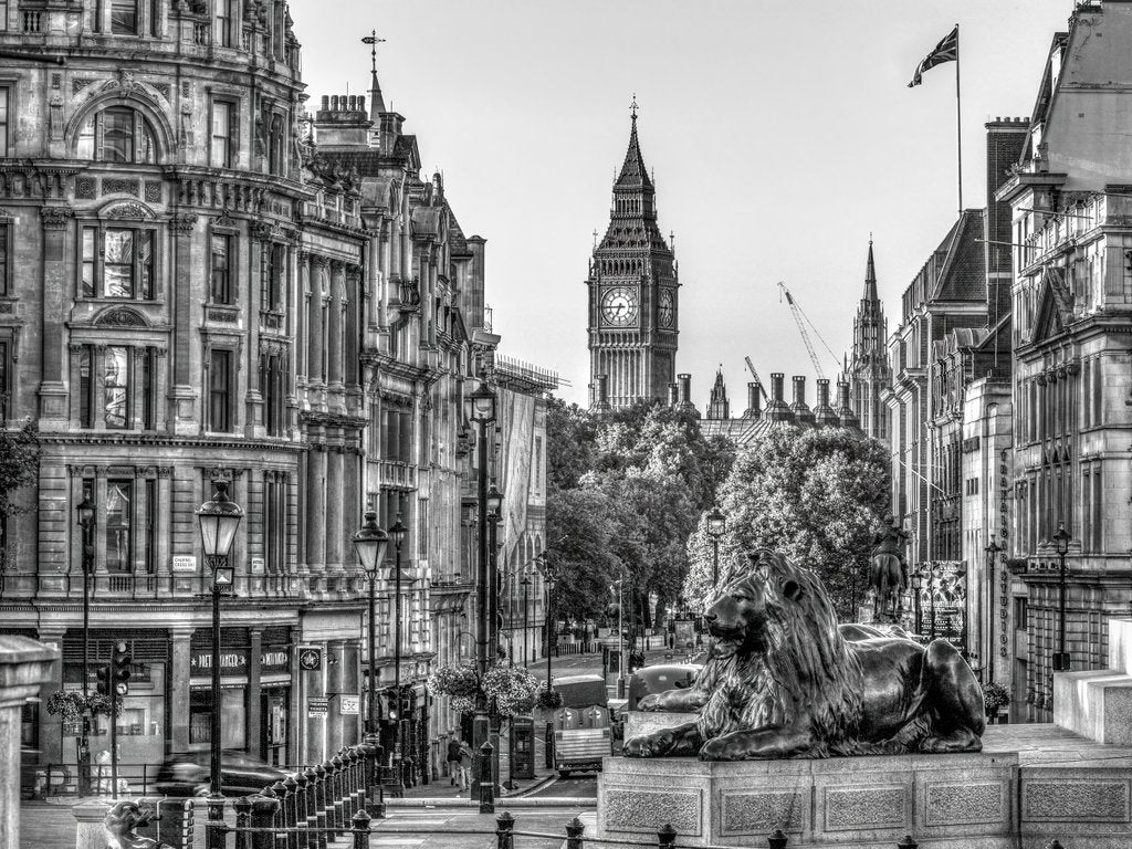 Detail of Trafalgar Square, London, UK by Assaf Frank
