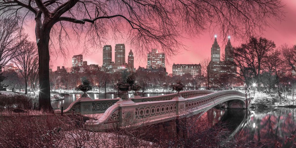 Detail of Central park, New York by Assaf Frank