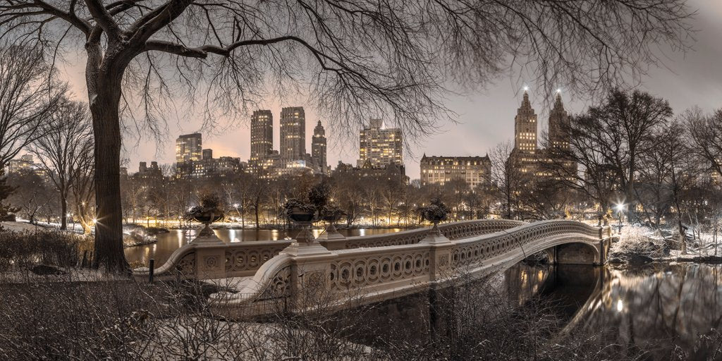 Detail of Central park, New York by Assaf Frank