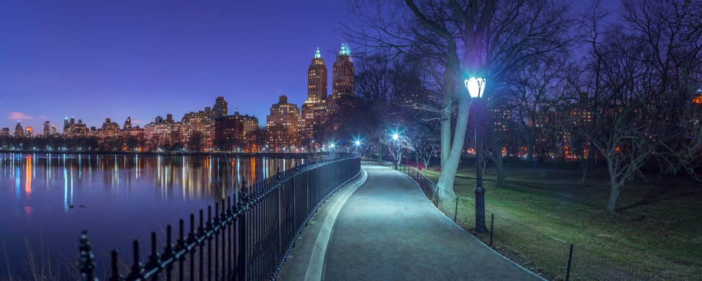 Detail of Central park, New York by Assaf Frank