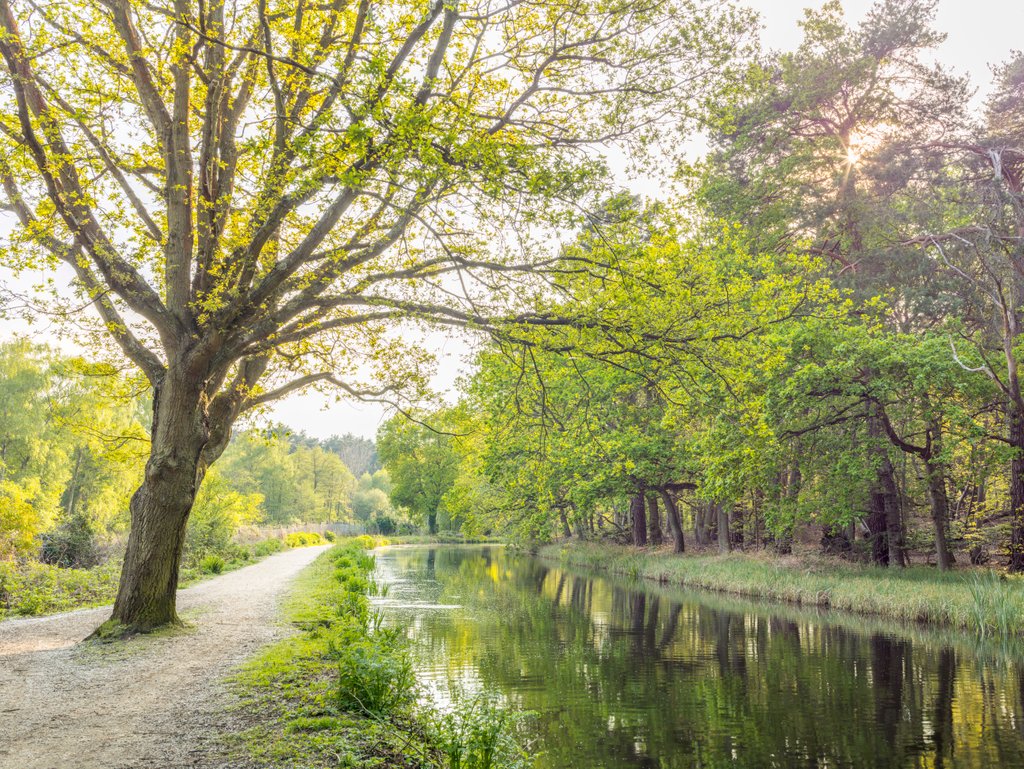 Detail of Canal on a spring day by Assaf Frank