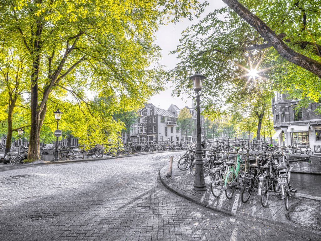 Detail of Amsterdam city street by Assaf Frank