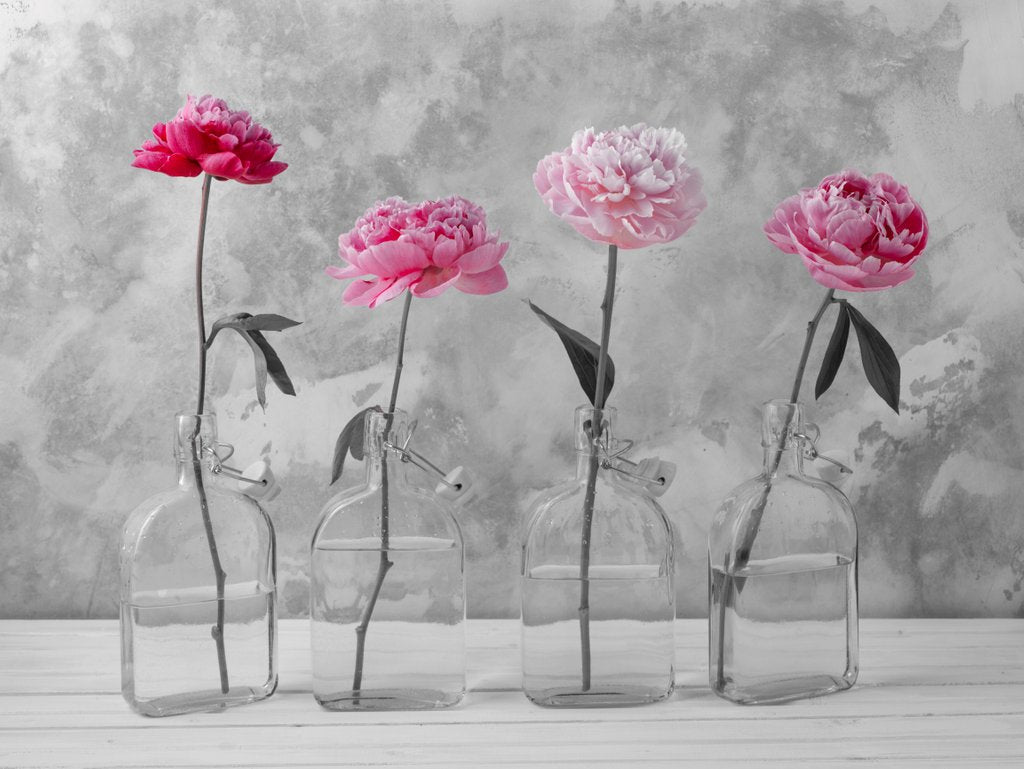 Detail of Peonies in glass bottles by Assaf Frank