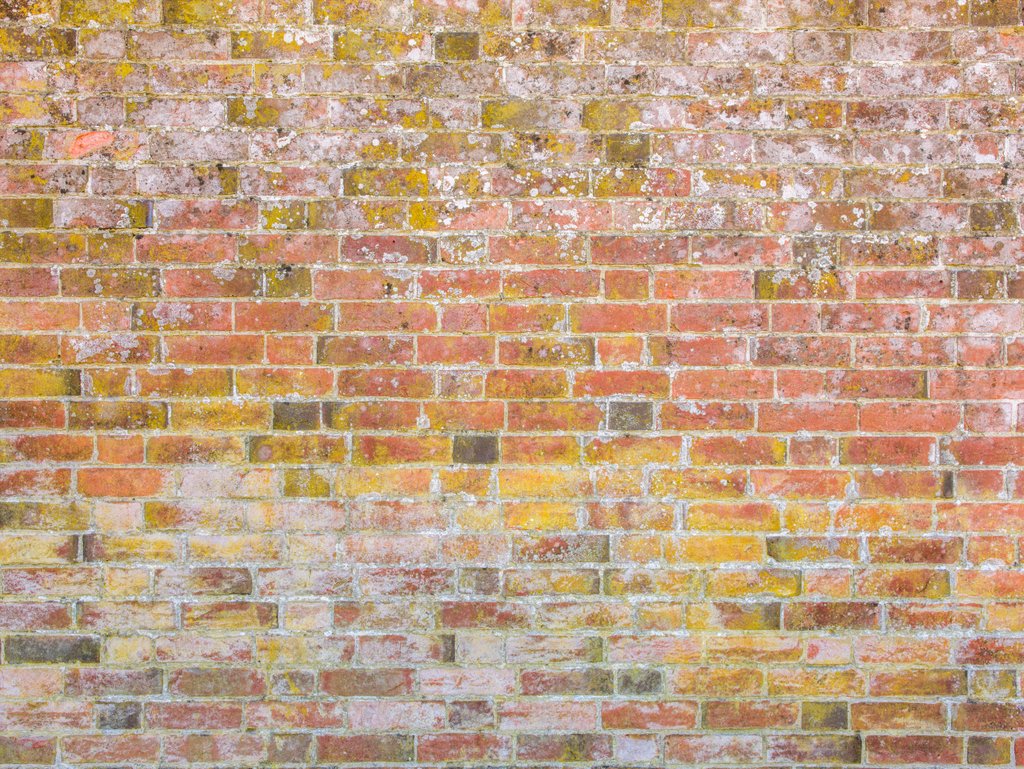 Detail of Brickwall by Assaf Frank