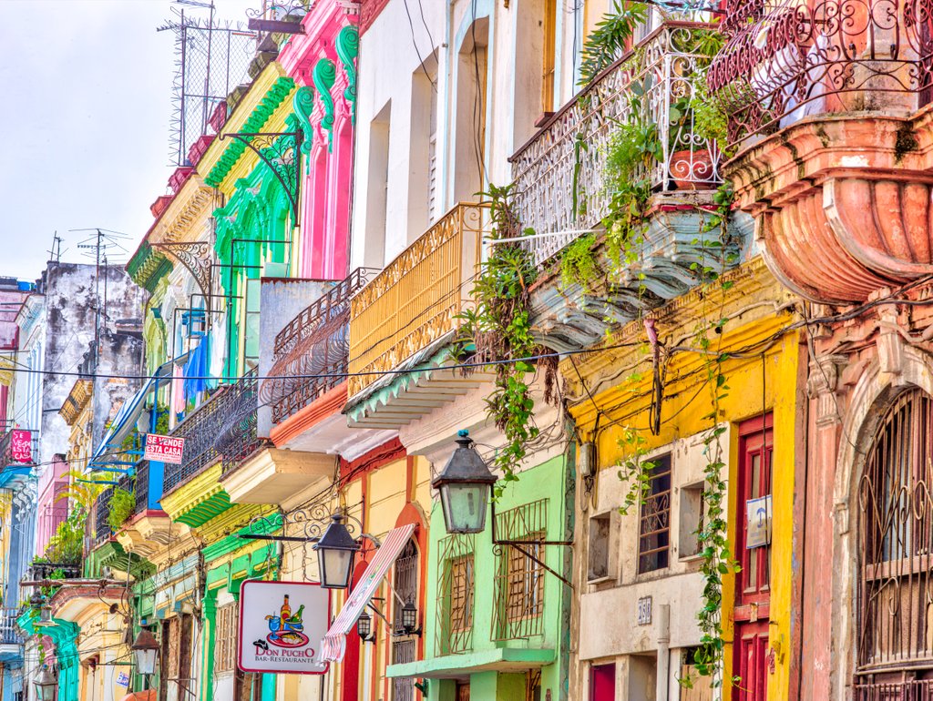 Detail of Colorful houses in Havana by Assaf Frank