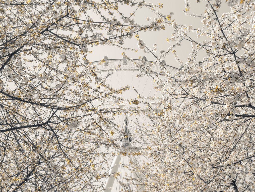 Detail of Millennium Wheel, London by Assaf Frank