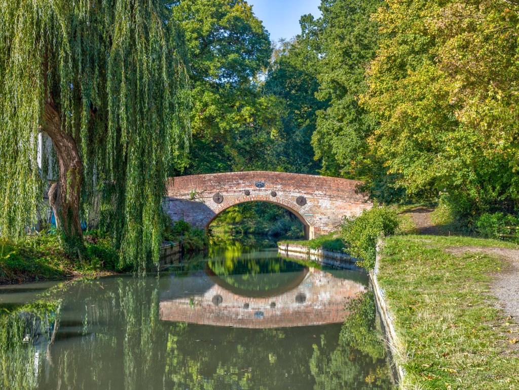 Detail of Canal in countryside by Assaf Frank
