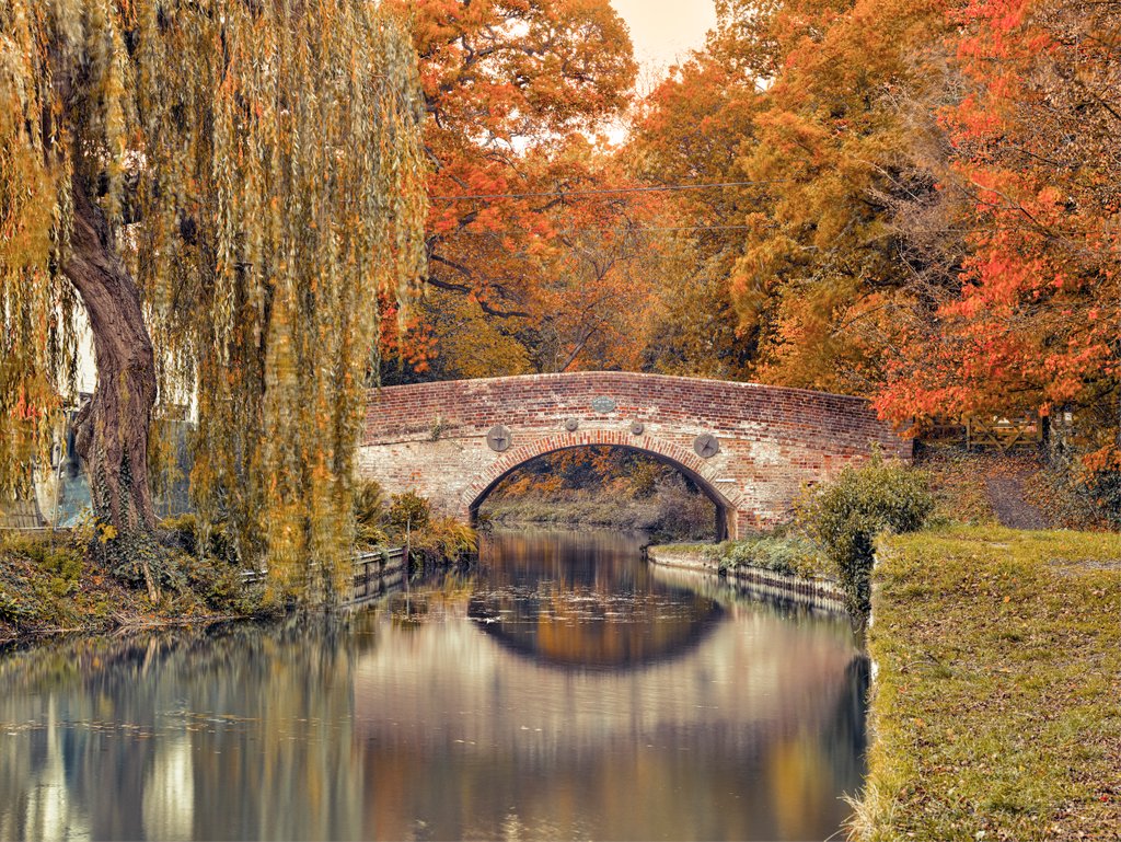 Detail of Bridge over a canal by Assaf Frank