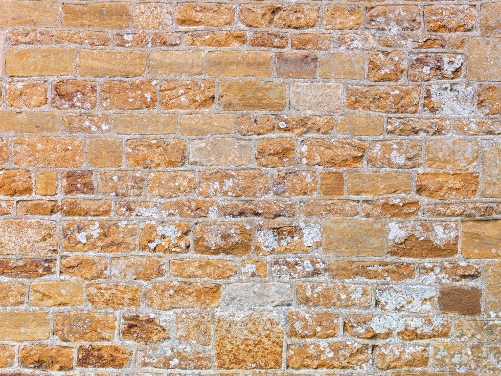 Detail of Brickwall by Assaf Frank