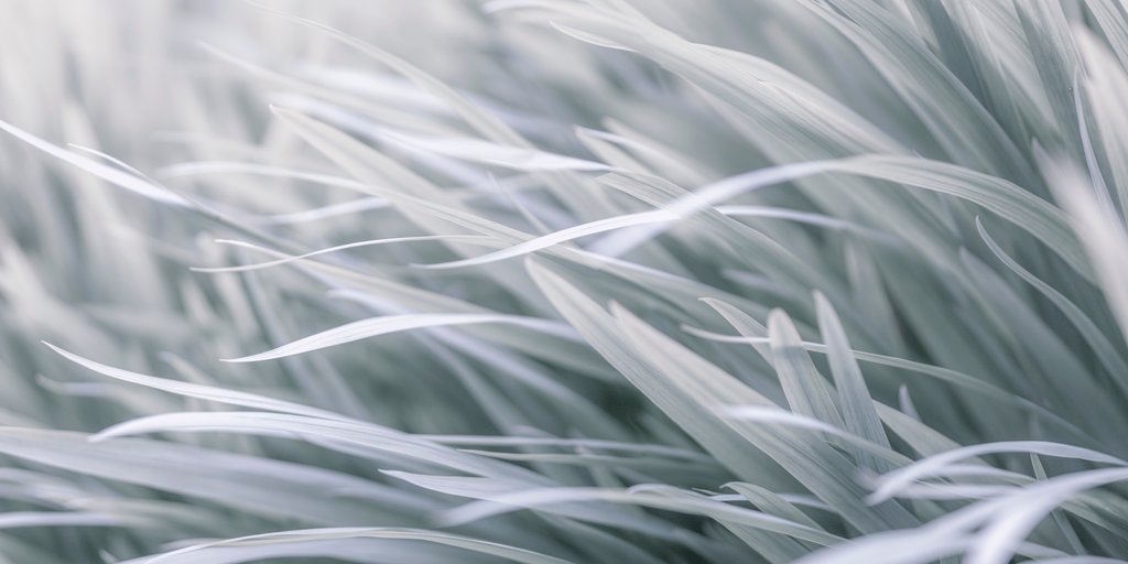 Detail of Leaves, abstract by Assaf Frank