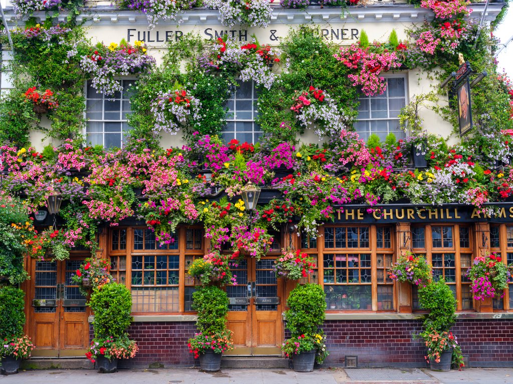 Detail of The Churchill Arms pub, London by Assaf Frank