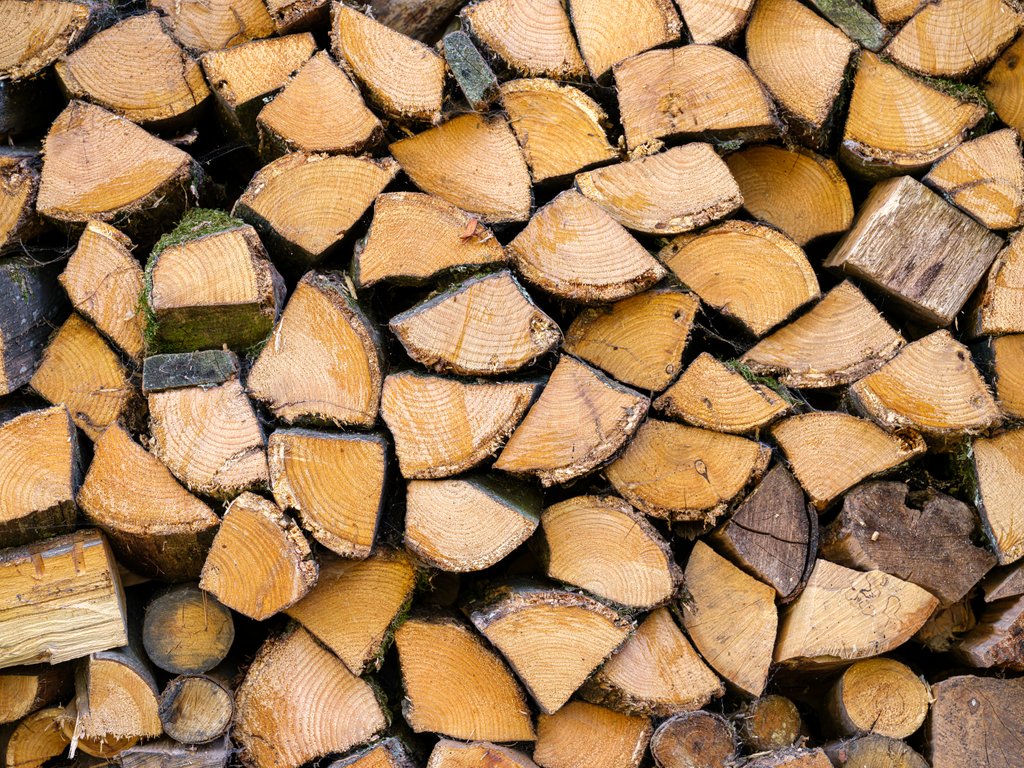 Detail of Wood logs by Assaf Frank