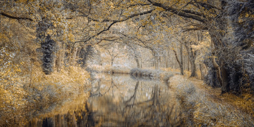 Detail of Canal through forest by Assaf Frank